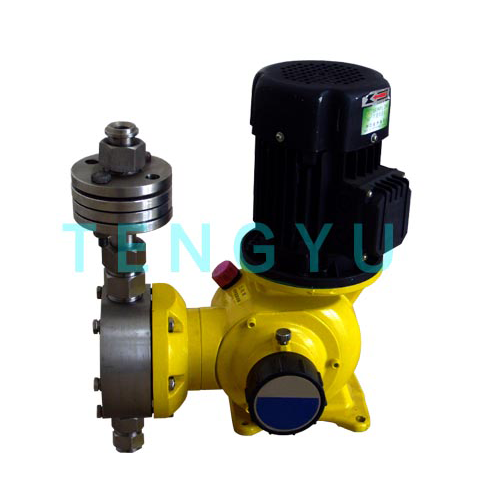 Water Treatment Industry Mechanical Diaphragm Dosing Chemical Pump, Plunger Metering Pumps 